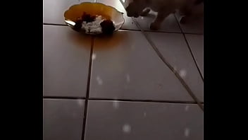 Anita, Si Perempuan Yang Menggoda Dan Menggairahkan