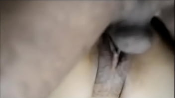 Banteng India Menggila, Sodok Lubang Pantat Dan Memek Sapi Sampai Meraung